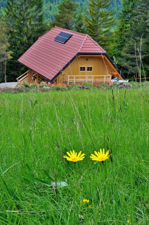 Kamp Beli Gaber Hotel Stari Trg pri Lozu Kültér fotó